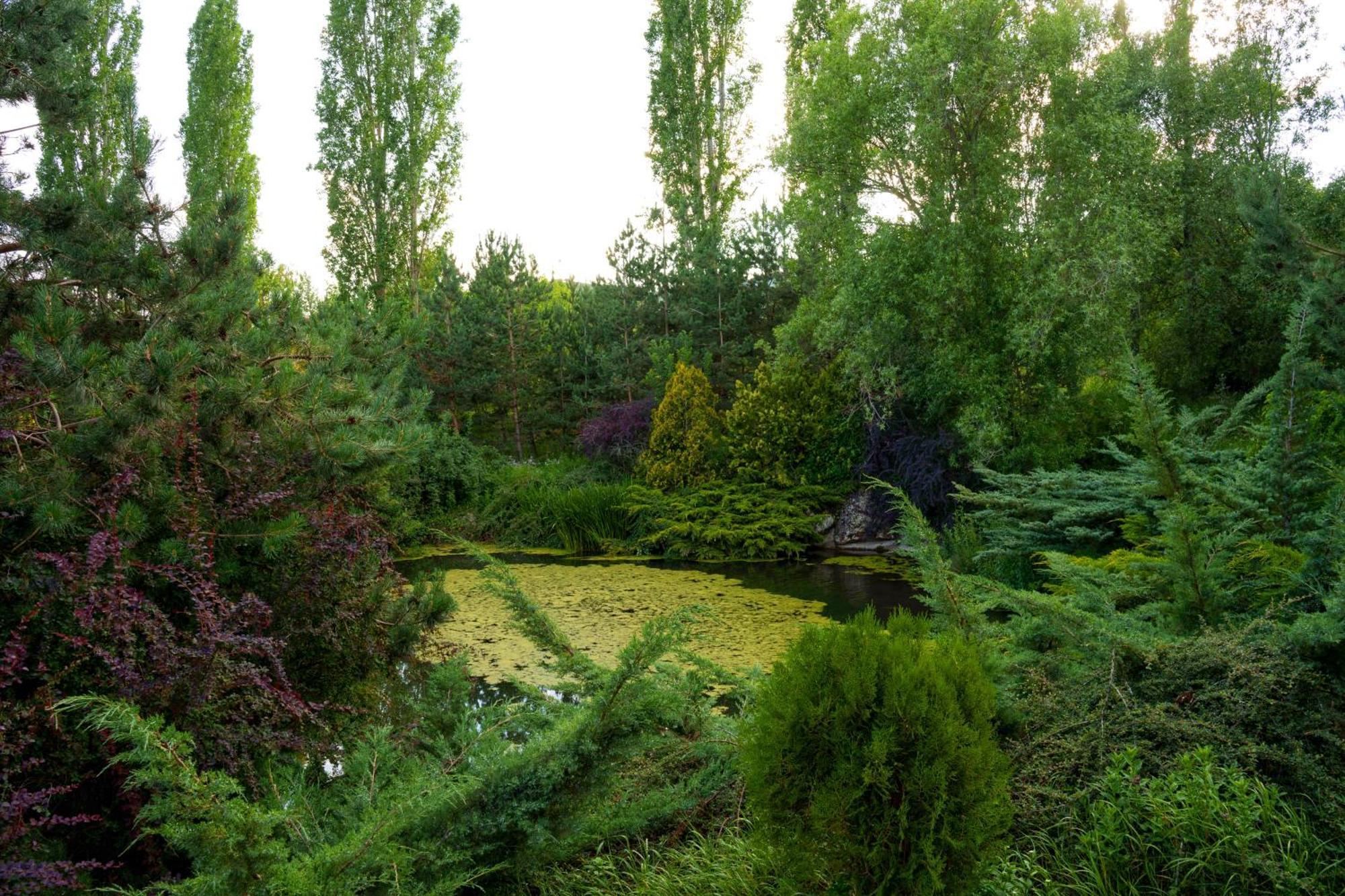 Ma Byurakan Extérieur photo